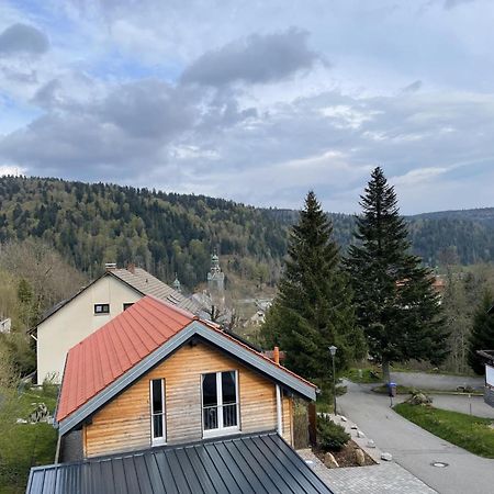 Traumferienwohnung Todtmoos - Appartment Mit Schoenem Wintergarten Eksteriør billede